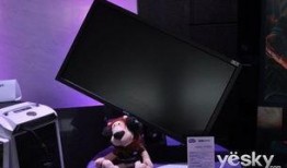 电竞明星爆料视频下载网站,热门资源一网打尽